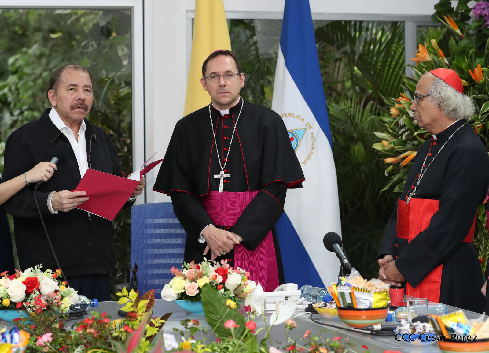 Nuncio1